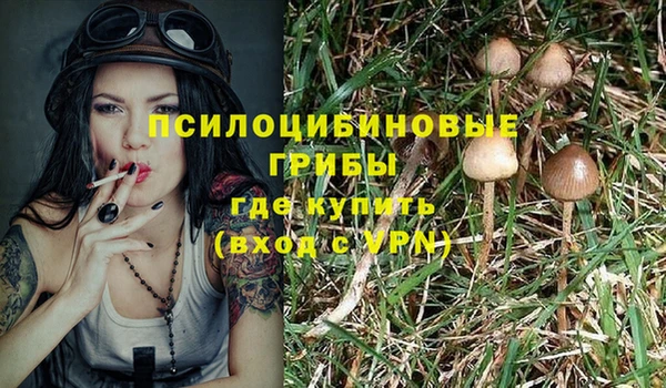 синтетический гашиш Зерноград