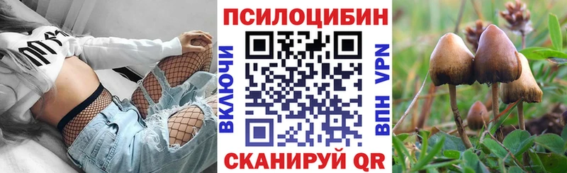 Купить закладки Лесосибирск Галлюциногенные грибы Magic Shrooms