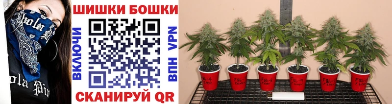 Купить где  Лесосибирск  Шишки марихуана Ganja 